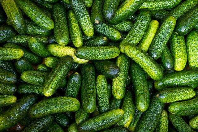 Cucumbers Reviewed After Salmonella Nauseates In excess of 160 Individuals in 25 States