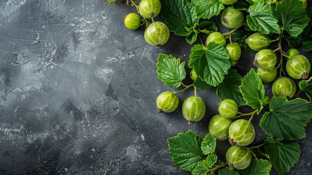 Superfood Gooseberries health benefits