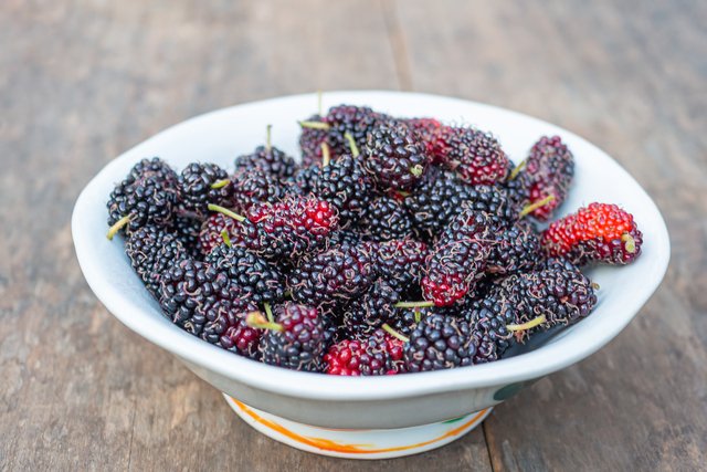 mulberries